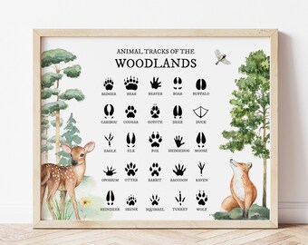 Spuren der Waldland, Tier-Fuß-Drucke, Spuren der Waldkinder, Waldkindergarten-Drucke, Hüttenwand-Dekor, Kinderzimmer-Wandbild, Waldkinderzimmer-Dekor,