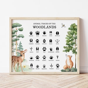 Animal Tracks of the Woodlands, Animal Foot Prints, Boy Woodland Nursery Prints, Cabin Wall Decor, Nursery Wall Art, Woodland Nursery Decor,