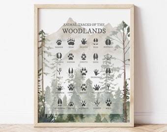 Tierspuren der Waldlandschaften, Tierfuß Drucke, Junge Waldtiere Kinderzimmer Drucke, Hütte Wand Dekor, Kinderzimmer Wandkunst, Wald Kinderzimmer Dekor,