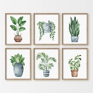 Botanical Print Set, House Plant Prints, Watercolor Prints, Living Room Wall Art, Plant Lover Gift, Potted Plants, Gardening, Home Decor,