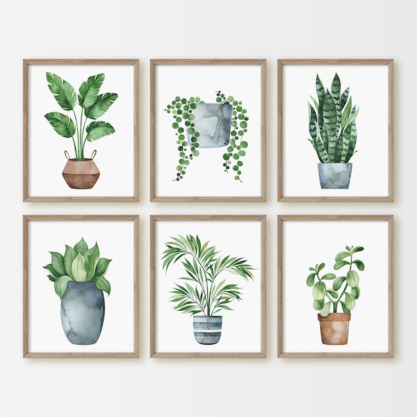 Botanical Print Set, House Plant Prints, Watercolor Prints, Living Room Wall Art, Plant Lover Gift, Potted Plants, Gardening, Home Decor,