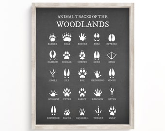 Animal Tracks of the Woodlands, Boy Woodland Nursery Prints, Animal Foot Prints, Cabin Decor, Nursery Wall Art, Woodland Nursery Decor,