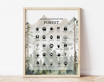 Tierspuren des Waldes, Tierfuß Drucke, Junge Waldtiere Kinderzimmer Drucke, Hütte Wand Dekor, Kinderzimmer Wandkunst, Wald Kinderzimmer Dekor,
