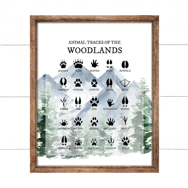 Animal Foot Prints, Animal Tracks of the Woodlands, Boy Woodland Nursery Prints, Cabin Wall Decor, Nursery Wall Art, Woodland Nursery Decor,