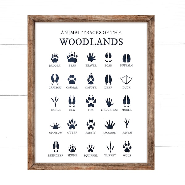 Animal Tracks - Etsy