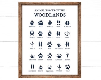 Navy Animal Tracks of the Woodlands, Boy Woodland Nursery Prints, Animal Foot Prints, Cabin Decor, Nursery Wall Art, Woodland Nursery Decor,