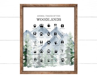 Tier Fuß Drucke, TierSpuren der Waldlandschaften, Junge Waldtiere Kinderzimmer Drucke, Hütte Wand Dekor, Kinderzimmer Wandkunst, Wald Kinderzimmer Dekor,
