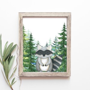 May include: A watercolor painting of a raccoon standing in a forest. The raccoon is gray with a black mask and a striped tail. The forest is green with tall pine trees.