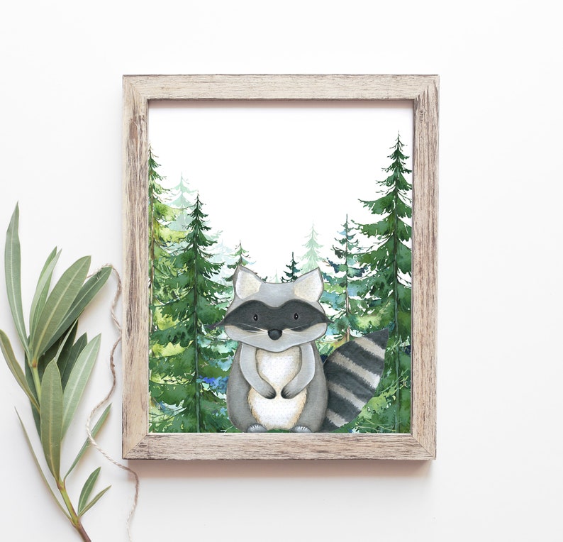 May include: A watercolor painting of a raccoon standing in a forest. The raccoon is gray with a black mask and a striped tail. The forest is green with tall pine trees.