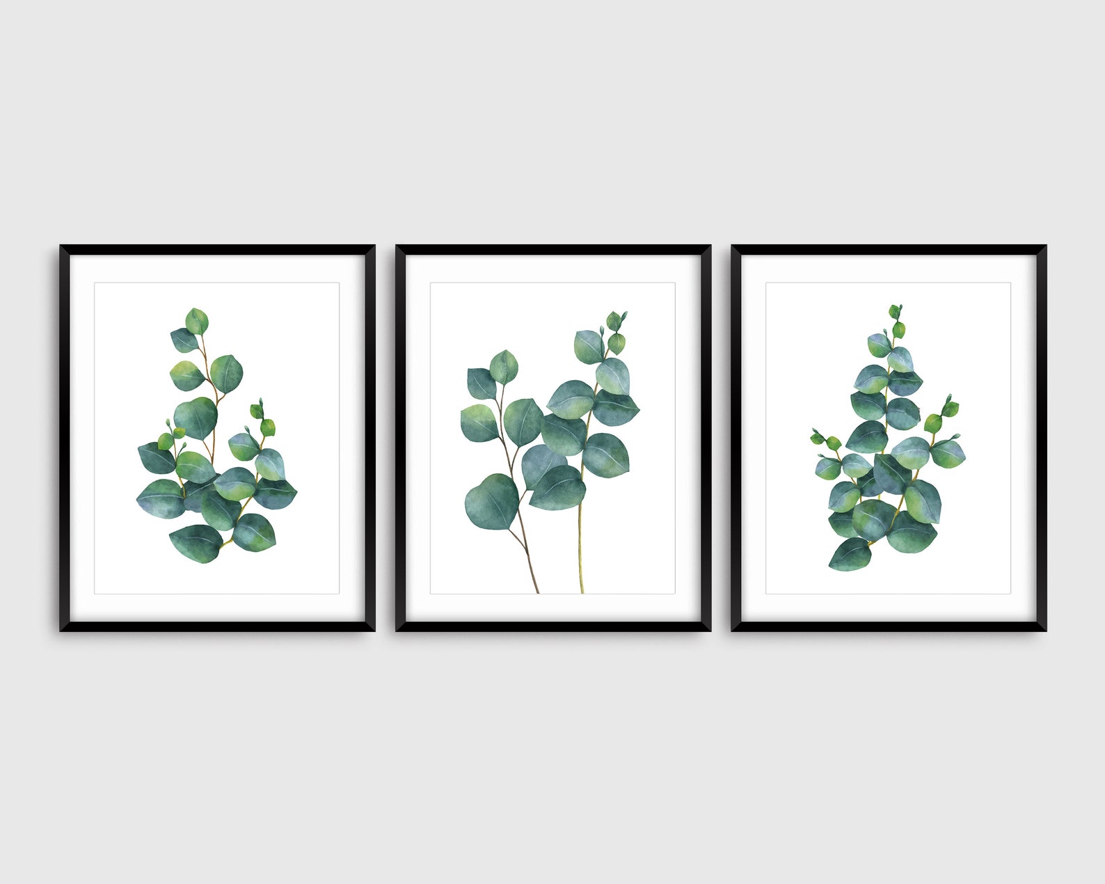3 Eucalyptus Prints Greenery Botanical Wall Art Watercolor Etsy