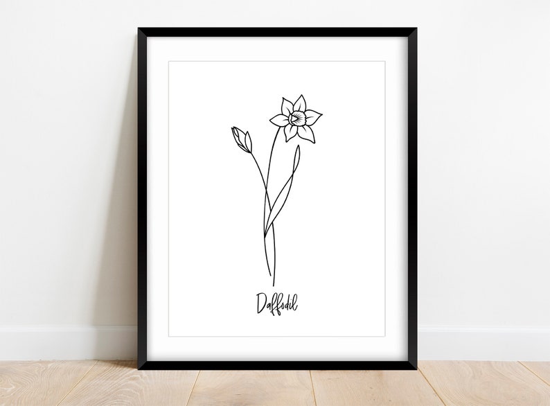May include: A black and white line drawing of a daffodil flower with the word "Daffodil" written below it.