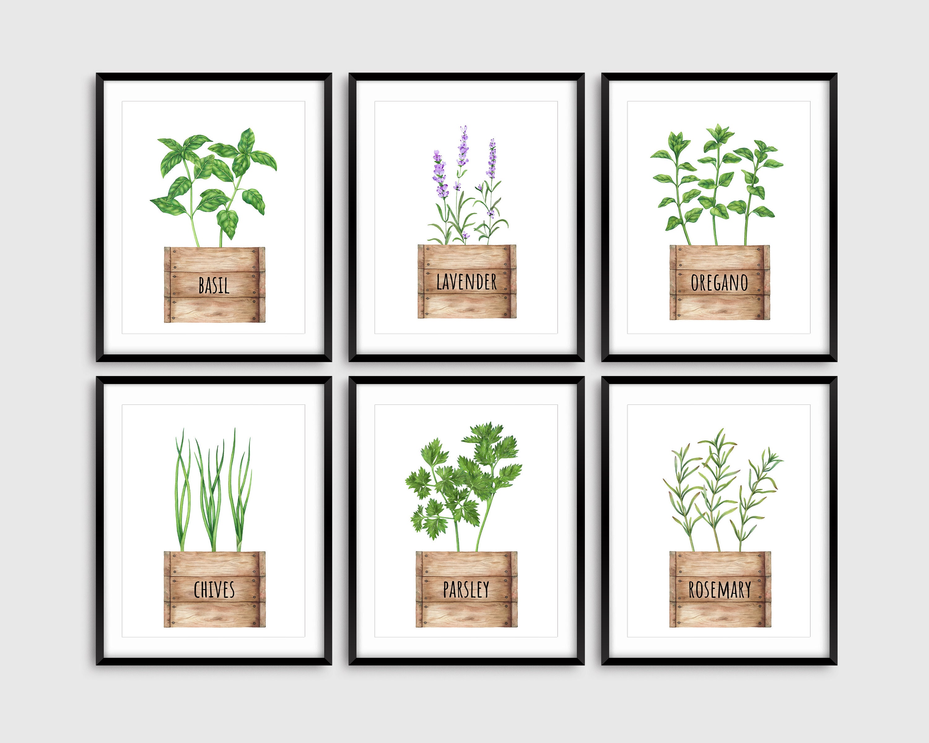 6 Kitchen Herb Prints Culinary Herbs Kitchen Wall Art Etsy
