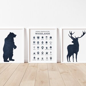 Animal Tracks of the Woodlands, Boy Woodland Nursery Prints, Animal Foot Prints, Cabin Decor, Nursery Wall Art, Nursery Decor, Navy, Bear,