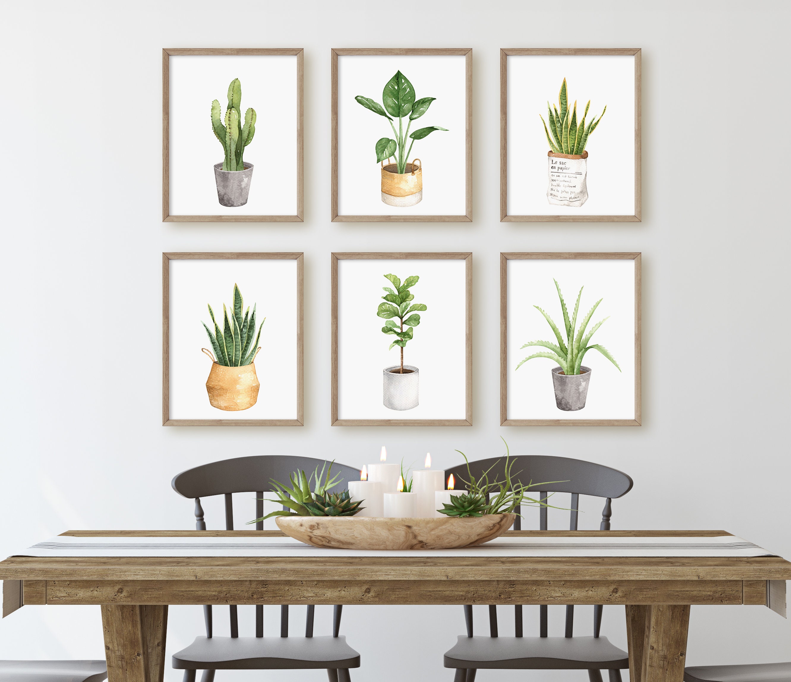 Botanical Print Set, House Plant Prints, Watercolor Botanical Prints ...