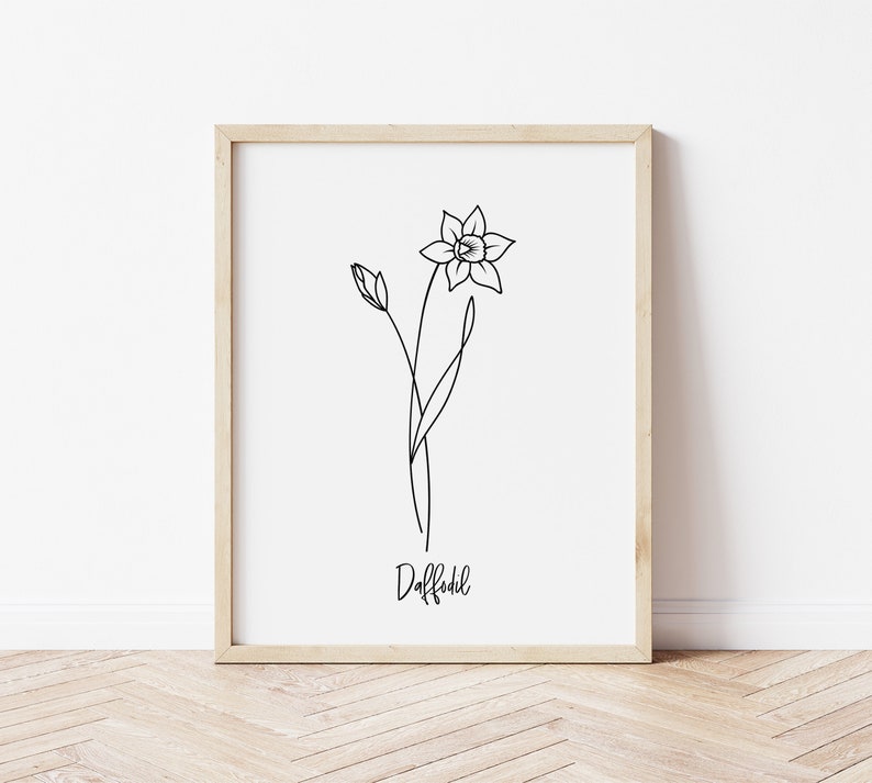 May include: A black and white line drawing of a daffodil flower with the word "Daffodil" written below it.