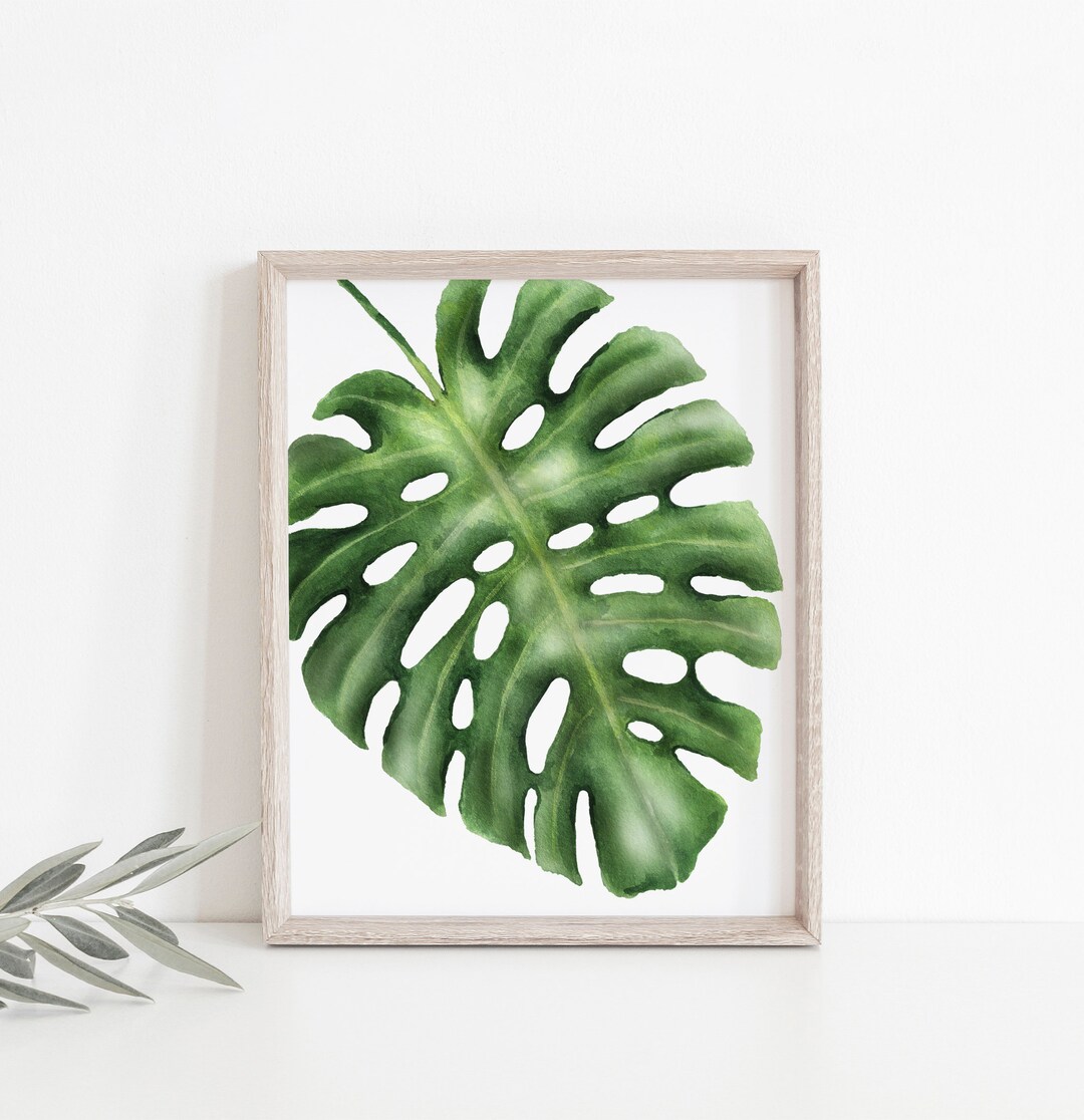 Monstera Leaf Prints, Botanical Print, Houseplant, Plant Poster ...