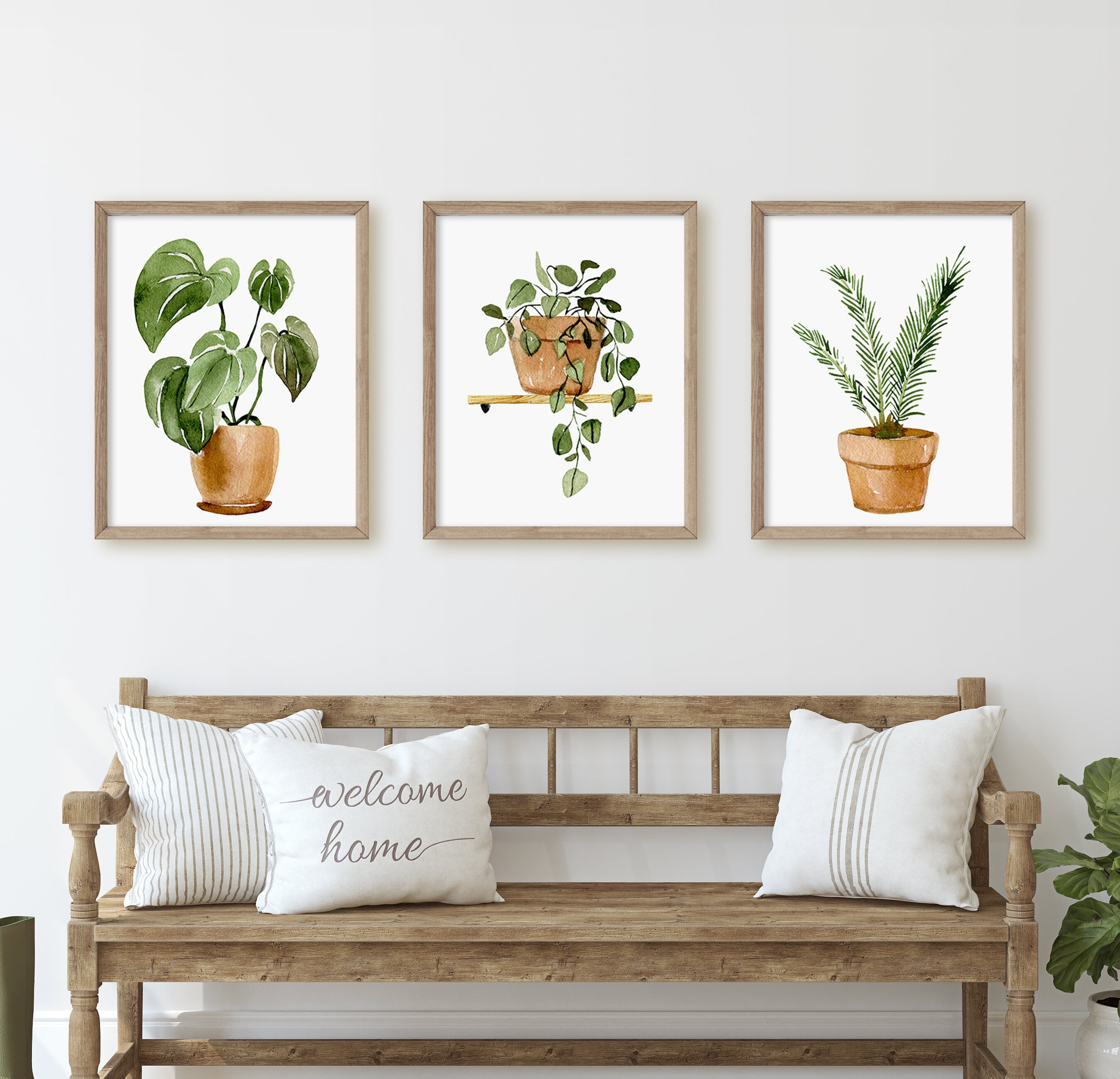 Botanical Print Set, House Plant Prints, Watercolor Botanical Prints ...