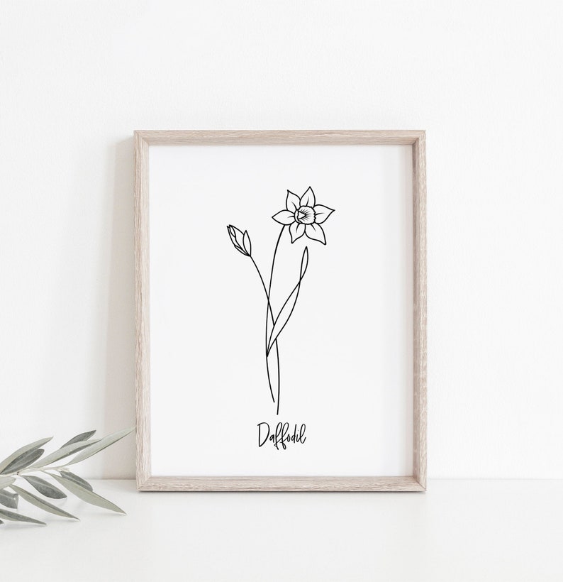 May include: A black and white line drawing of a daffodil flower with the word "Daffodil" written below it. The drawing is framed in a light wood frame.