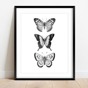 May include: Black and white framed print of three butterflies. The butterflies are arranged vertically, with the top butterfly being the largest and the bottom butterfly being the smallest. The butterflies are all in flight, with their wings spread out.