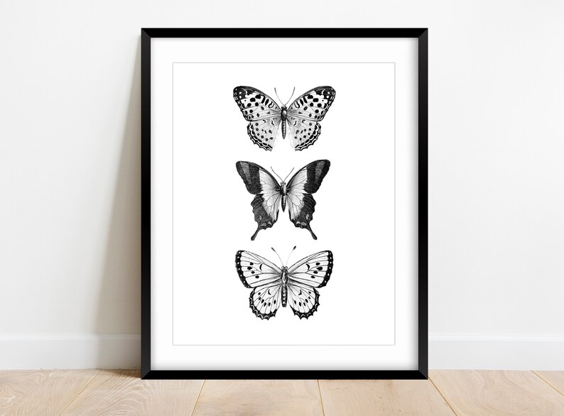 May include: Black and white framed print of three butterflies. The butterflies are arranged vertically, with the top butterfly being the largest and the bottom butterfly being the smallest. The butterflies are all in flight, with their wings spread out.