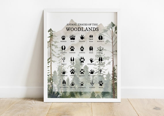 Animal Tracks Print Animal Tracks of the Woodland Printable Animal