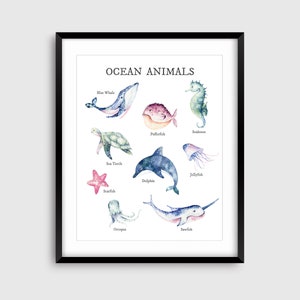 May include: A watercolor illustration of ocean animals, including a blue whale, sea turtle, starfish, dolphin, jellyfish, seahorse, pufferfish, octopus, and narwhal. The illustration is titled "Ocean Animals".