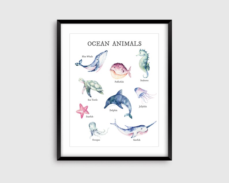 May include: A watercolor illustration of ocean animals, including a blue whale, sea turtle, starfish, dolphin, jellyfish, seahorse, pufferfish, octopus, and narwhal. The illustration is titled "Ocean Animals".