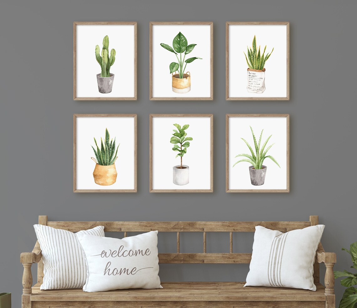 Botanical Print Set, House Plant Prints, Watercolor Botanical Prints ...