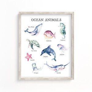 May include: A colorful educational chart featuring watercolor illustrations of ocean animals. The chart includes a blue whale, seahorse, pufferfish, sea turtle, dolphin, jellyfish, starfish, octopus, and sawfish. The title of the chart is "Ocean Animals".
