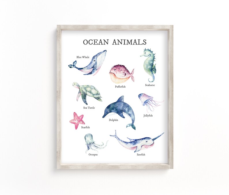 May include: A colorful educational chart featuring watercolor illustrations of ocean animals. The chart includes a blue whale, seahorse, pufferfish, sea turtle, dolphin, jellyfish, starfish, octopus, and sawfish. The title of the chart is "Ocean Animals".