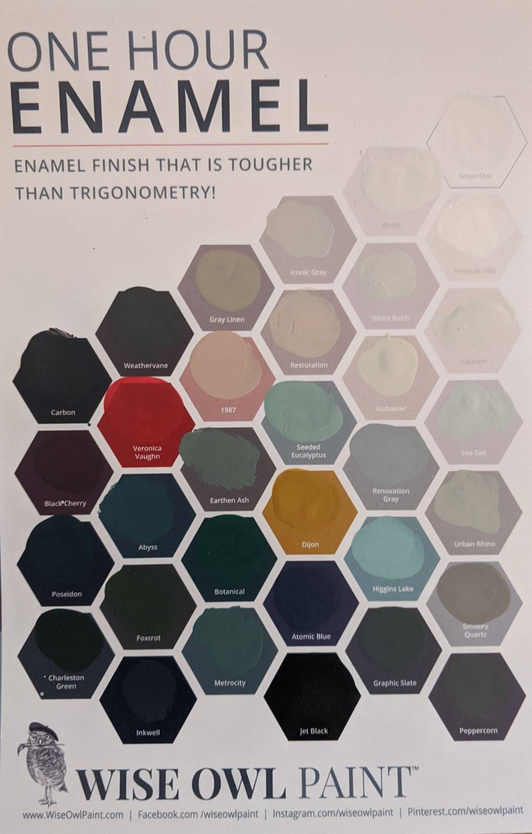 Wise Owl One Hour Enamel Paint NEW Quart Paint for Etsy