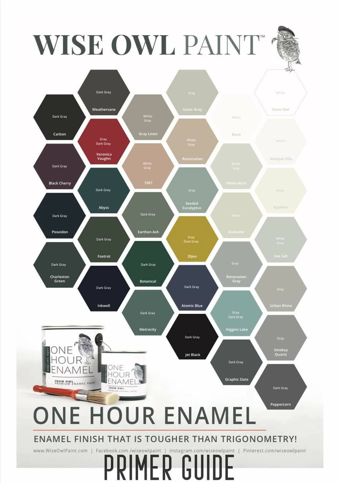 Wise Owl One Hour Enamel Paint NEW Gallon Paint for Etsy