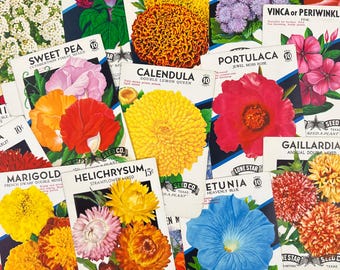 Juego de 12 paquetes de semillas de flores NOS (nuevos de stock antiguo). Paquete variado. Floral. Material para diarios creativos.