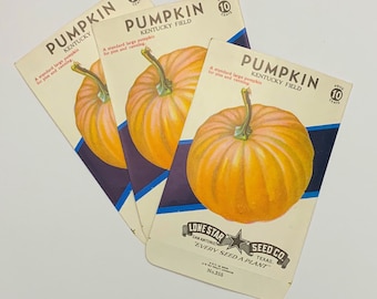 Set of 6 Hang Tags~Vintage Pumpkin Seeds~Gift Tags~Scrapbooking~Card Making~#66R 