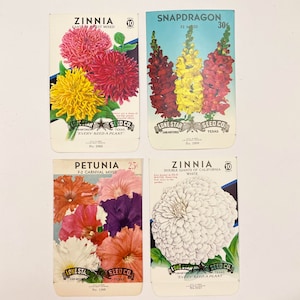 Set van 4 mooie, NOS bloemzaadpakketten. Petunia's. Zinnia. Leeuwenbek. Junk Journal Voorraad