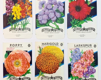 Lippincott seeds : 1914 . gorous growth and pro-ducing heads of  flowersdouble the size of the oldsort. Pkt., 200 seeds, 5c. FEVERFEW.  DOUBLE, 3IATRICARIAE X I M I A—A fine old-fashioned bedding