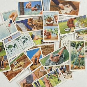 Set van 12 Vintage Wills Garden Hints Sigarettenkaarten, Tuinieren. Ongewenst dagboek. Bloemen ephemera.