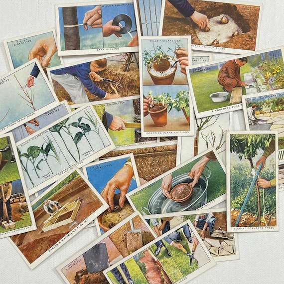 Set of 12 Vintage Wills Garden Hints Cigarette Cards, Gardening. Junk  Journal. Floral Ephemera