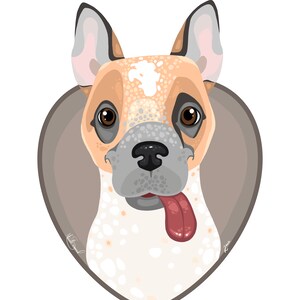 Custom Pet Cartoons