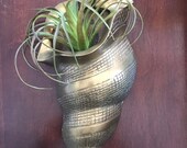 Vintage Brass Shell Planter
