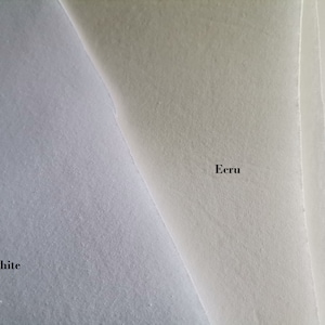 Ecru Sew Bra Foam 1/5"(5 mm)thick 100% Polylaminate,Cotton jersey, Bra Making,Swimwear,Cups,DIY,Lingerie Sewing,Stretch,Cut,Fabric,Top,Dress