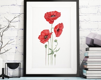 Red poppy art print, botanical watercolour painting of field poppies, floral wall art, cottagecore home decor, Mothers Day gift for gardener