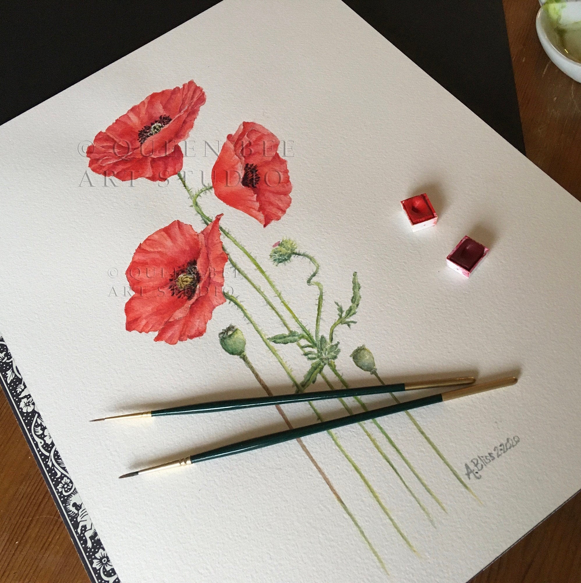 Red Poppy Art Print Botanical Watercolour Painting of Field - Etsy UK