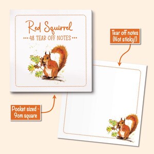 May include: A square notepad with 48 tear-off notes measuring 9cm square. The cover features a watercolour illustration of a red squirrel with oak leaves and the text Red Squirrel 48 TEAR OFF NOTES. An individual note shows the same squirrel design.
