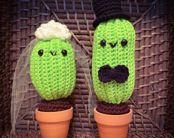 Bride and Groom Crochet Cactus Plant