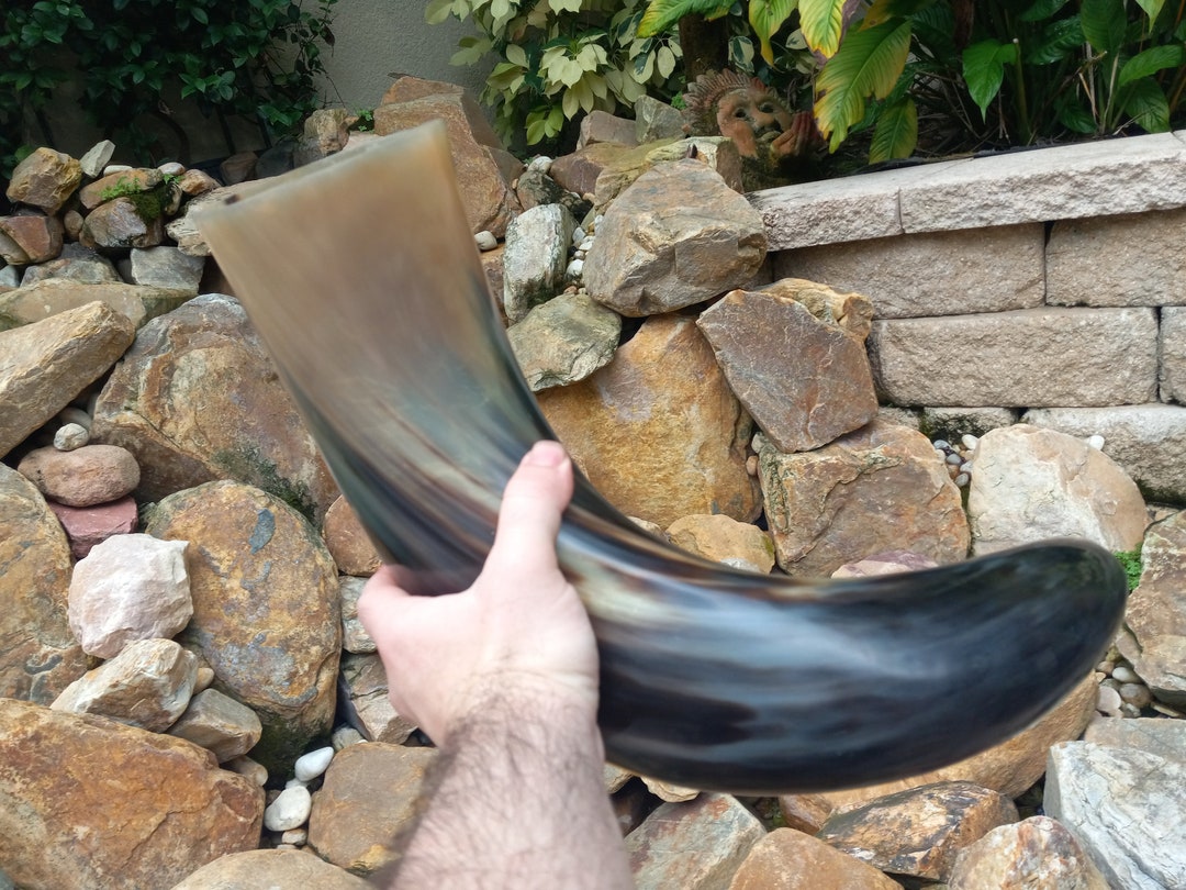 Extra Large Drinking Horn Etsy
