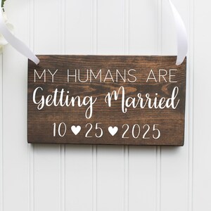 May include: A brown wooden sign with white text that reads "My humans are getting married 10 ♥ 25 ♥ 2025". The sign is hanging from a white ribbon.