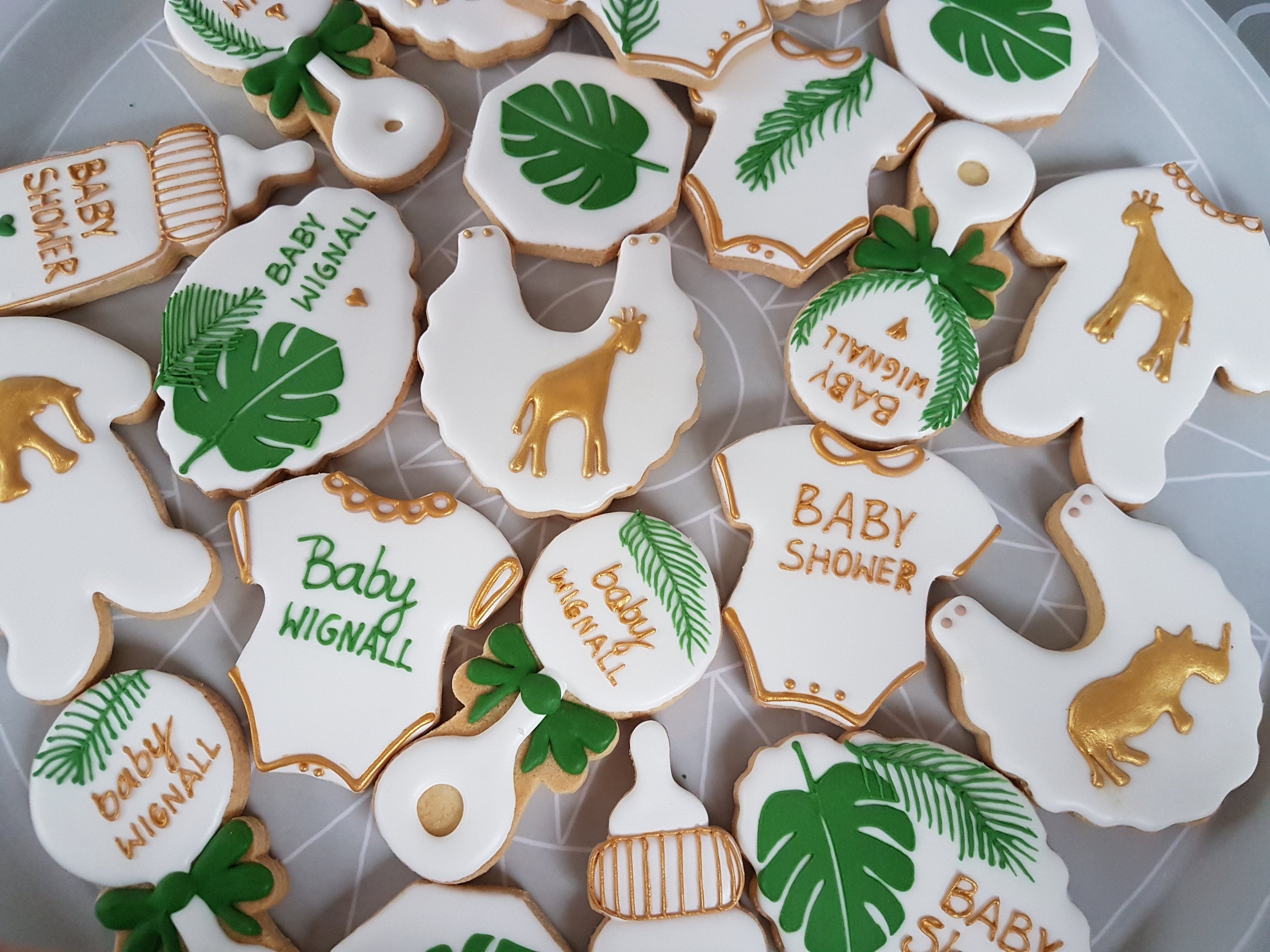 10 Jungle Theme Iced Biscuits/ Safari Themed Cookies / 10 Baby Etsy UK
