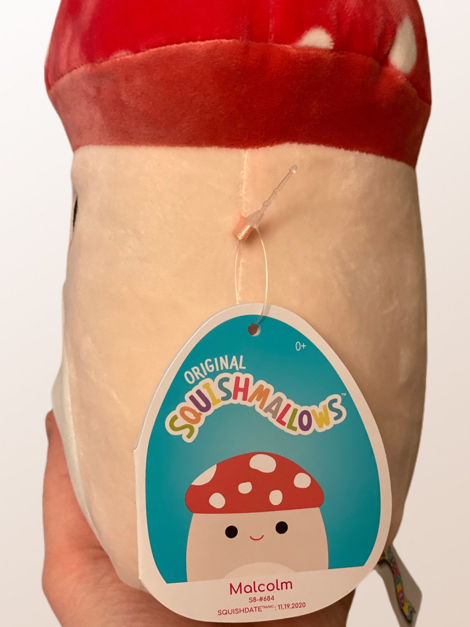 Malcolm 8 Mushroom Squishmallow // // Easter Etsy