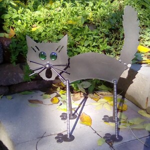 Scaredy Cat